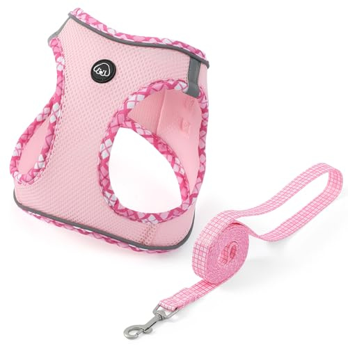 Belababy Small Dog Harness, Step in Breathable Puppy Harness and Lead Sets for Walking Easily, Lightweight Air Mesh Pet Vest with Safety Buckle, Pink, XS