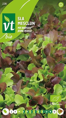 Semillas de Lechuga de Brotes Jóvenes - Mezcla de lechugas de hoja verde y roja