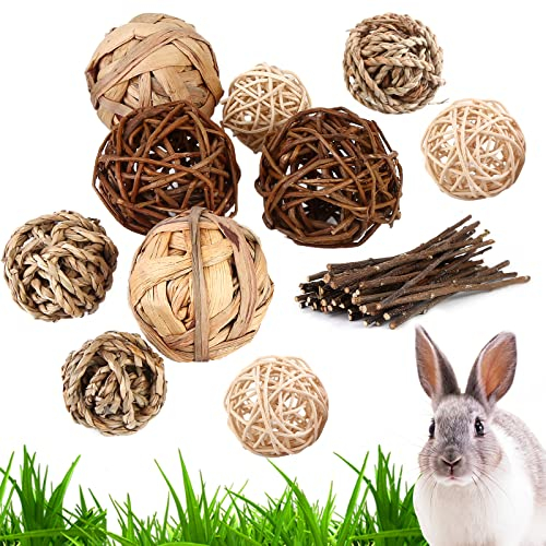 Vegena 10 palline da masticare per porcellini d'India, giocattolo da masticare con bastoncini di rametto di mela, giocattolo per cincillà, criceti, conigli, conigli nani
