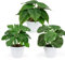 YAOYIN® 3er Set Kunstpflanze, Künstliche Pflanzen Wie Echt mit Töpfen, Kunstpflanzen Wie Echt Zimmerpflanze Deko Pflanzen, Fake Plants Höhe ca.19 cm, Für Balkon, Zimmer, Wohnzimmer, Badezimmer Deko