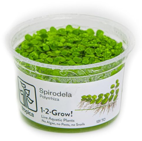 Tropica Spirodela polyrrhiza (Facile, Flottante) 1-2-Grow!
