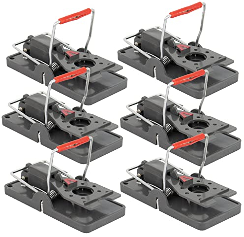 Victor M393SSR 6er-Pack Power-Kill Mausefalle, Größe 6, Grau