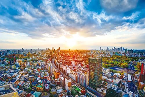 5000 Pieces Jigsaw For Adults Puzzle Family New York Intellectual Educational Creative Wall DecorationsFinished size 156×105cm