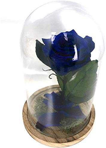 Mundo Eterno | Rosa Preservada Azul Oscuro en Cúpula de Cristal | Rosa Eterna Natural | Regalo Romántico y Decoración Atemporal | Sin Mantenimiento | liofilizada