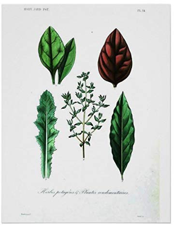 Notebook Medion Erazer Beast X40 Qwerty in Spagnolo 32 GB RAM i9-13900HX 17' 2 TB SSD