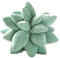 Dualoai Sukkulenten Kaktus Dekokissen, Gemütliches Polster, Landhausstil, Wohnaccessoire, Spielzeug, 25cm