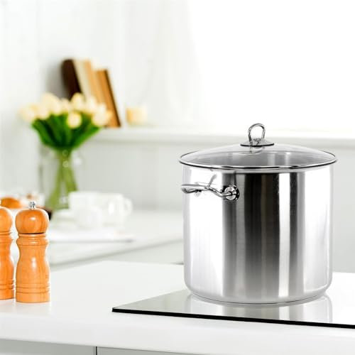 Olla De Acero Inoxidable - Olla Grande con Tapa, Olla De Cocina De 20 litros con Tapa, Cacerola Grande Y Profunda, Utensilios De Cocina, Olla De Sopa De Doble Asa(20 Litre)