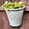 Darthome Glossy Wall Planter 21x23cm Ceramic Effect Plastic Semi Circular Garden Pot Decor (Grey)