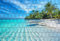 Perfect Zaunsichtschutz Panorama - Motiv Beach1 - Sichtschutz für den Garten - 2,50 x 1,80 x 0,19 m - 9 Streifen