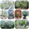 Olivo resistente - semillas plantas de jardín comprar árboles semillas de olivo maceta decoración balcones bonsái plantas interior exóticas en macetas en macetas resistentes tallo 50pcs