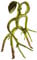 The Noble Collection Bendy Bowtruckle
