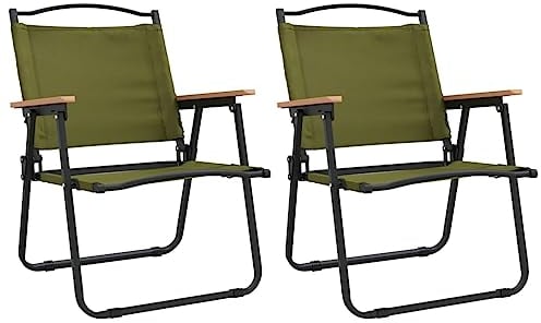 vidaXL 2X Campingstuhl Klappstuhl Faltstuhl Angelstuhl Regiestuhl Picknickstuhl Strandstuhl Campingsessel Grün 54x55x78cm Oxford-Gewebe
