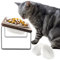 GUUSII HOME Raised Cat Bowl Set with Stand Elevated Tilted for Food Water Ceramic Kitty Feeding Sation Ergonomic Puppy Dish with 4 Bowls Pet Feeder Metal Legs Anti Vomiting Easy to Assemble(Brown)