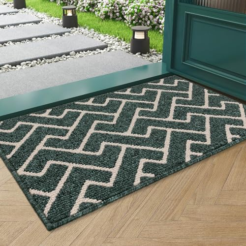 Biscpro Schmutzfangmatte 50x80 Fußmatte, Wasserdicht Schmutzabsorption Matte Fussmatte für Außen Innen Eingang, Garten, Teppich, küchenteppich