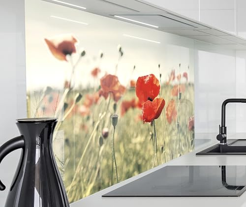 timalo Spritzschutz Wand für Herd, Küche Küchenrückwand Glasoptik | Acryl Glas 2mm | Glasrückwand Acrylglas Wandpaneele Rückwandschutz Platte | 60x40cm Mohnwiese, Blumenwiese
