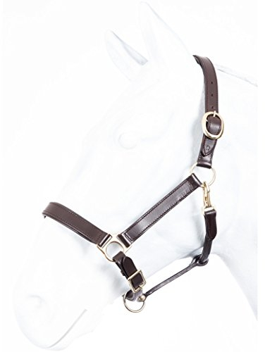 Lederhalfter ROBUST Marengos braun Pony