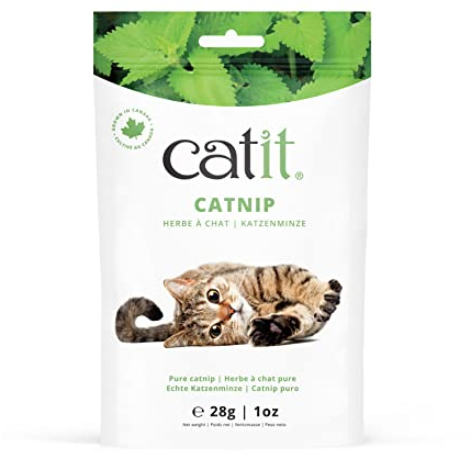 echte Katzenminze aus getrockneten Katzenminzeblättern und -blüten von kanadischer Qualität, 28g Beutel