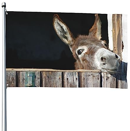 Lustige Esel-Flagge, 1,2 x 1,8 m, lustige Outdoor-Banner, Urlaub, Gartenflagge, Willkommensbanner für Zuhause, Garten, Hof, Rasen, Dekoration, Flaggen, Indoor/Outdoor, doppelseitiger Druck