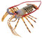KOMBIUDA Simulierte Hummer Ornamente Hummer Modell Tiere Modell Desktop Tier Ornament Simulation Von Hummer Verzierungen Simulation Von Hummer Spielzeugen Gefälschtes Hummer