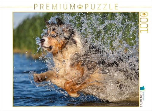 CALVENDO Puzzle Spaß in der Elbe | 1000 Teile Lege-Größe 64 x 48 cm Foto-Puzzle für glückliche Stunden