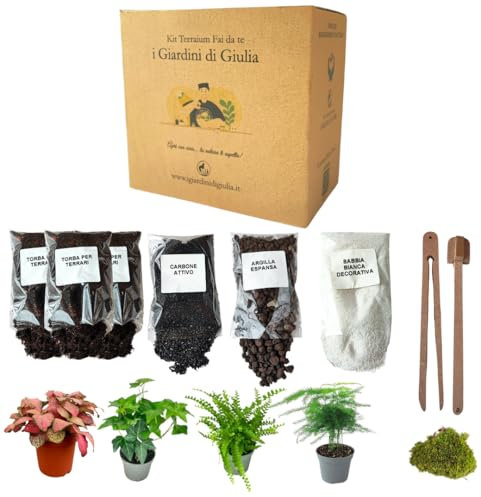 Kit per Terrarium Fai-da-Te – Crea un Ecosistema Autosufficiente con i Tuoi Contenitori – 4 piantine, Terriccio e Carbone Attivo Inclusi – Kit Terrario Completo di paintine