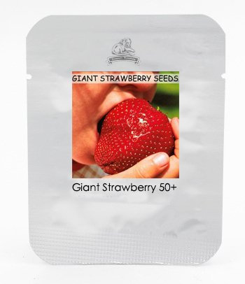 200 Semi/Pack, Super gigante della frutta della fragola seme di mela Sized