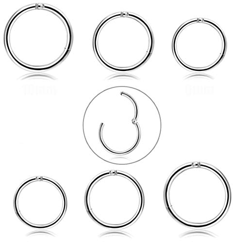 JeryWe 3/6/8PCS Nasenring Hoop 316L Chirurgenstahl Septum Clicker Nasenpiercing Knorpel Daith Conch Tragus Helix ohrring Ohr Nostril Körperpiercing Set Segmentring Lippenring 16/18/20g 6-12MM