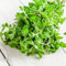 200 pcs wilder majoran samen mehrjährig winterhart pflanzensamen garden,Origanum majorana, kräuterbeet büropflanzen dekoration wohnzimmer bonsai topf pflanze hochbeete für garten