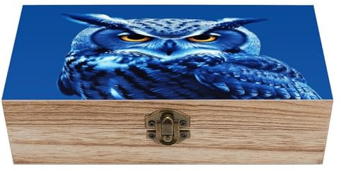 YJWANDO Aufbewahrungsbox aus Holz, blaue Eule, Schmuckkästchen mit Retro-Schloss und Scharnier für Fotos und Schmuck, Stil