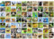Jigsaw Puzzles for Adults 1000, Puzzles for Adults, Challenging Puzzles, Puzzle Game for The Whole for Women, Gifts for Men, Theme:Animal Collection