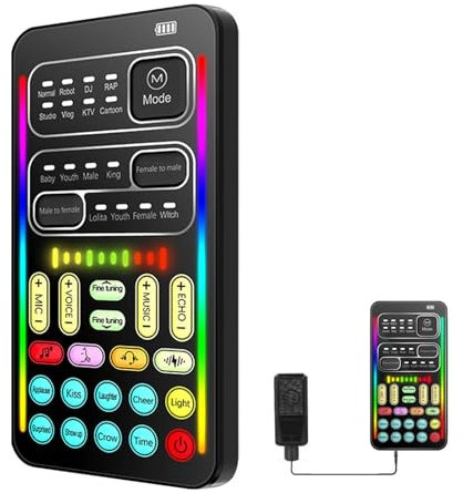 Distorcente di voce, portatile, voce disguiser, scheda audio con 8 effetti sonori, cambio sonoro, per cellulare, computer, tavolo