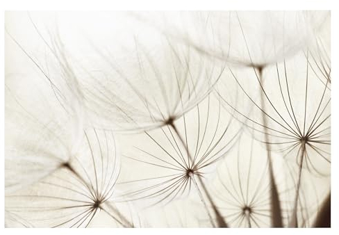 Bilderwelten Fototapete Gräser 225cm x 336cm Blumen Modern Natur Blumentapete Vliestapete Tapete Wanddeko Ideen Wohnzimmer Schlafzimmer Küche
