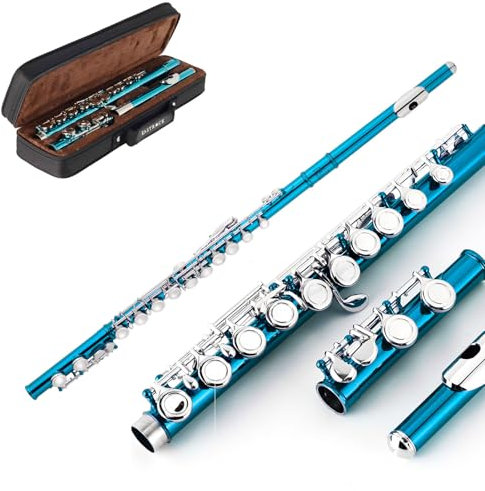 Eastrock Flûtes Traversiere à Trou Fermé 16 Trous pour Débutant, Etudiant Flûte en Bleu Lac avec Support de Boîtier