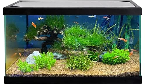 Vydra PLIKO Aquarium en verre 20 litres / 40 x 20 x 25 h cm (Noir)