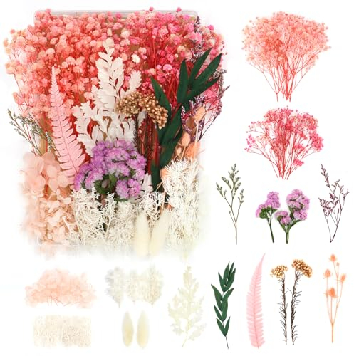 WenmthG Trockenblumen rosa, Natürlich Getrocknete Blumen und Gepresste Pflanzen Mix Set