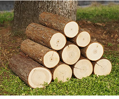 TRGCJGH Bois de chauffage naturel séché au four, bûches de bois pour poêle à bois, foyer, bois d'allumage fendu assaisonné, pour foyers, cheminées et feux de camp, 30 cm