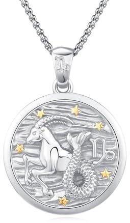 REDSUN Sternzeichen Halskette 925 Sterling Silber Sternzeichen STEINBOCK Kette Astrologie Horoskop Anhänger Sternzeichen Halskette Für Männer Frauen(Silber)