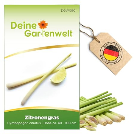 Zitronengras Samen - Cymbopogon citratus - Zitronengrassamen - Kräutersamen - Saatgut für 100 Pflanzen – 3er Pack