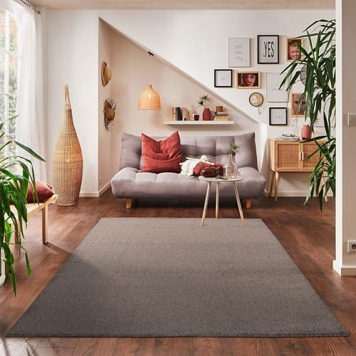 Carpettex Teppich Wohnzimmerteppich, kurz, modern, Farbe und Größe wählbar, Mocca, 60x100 cm