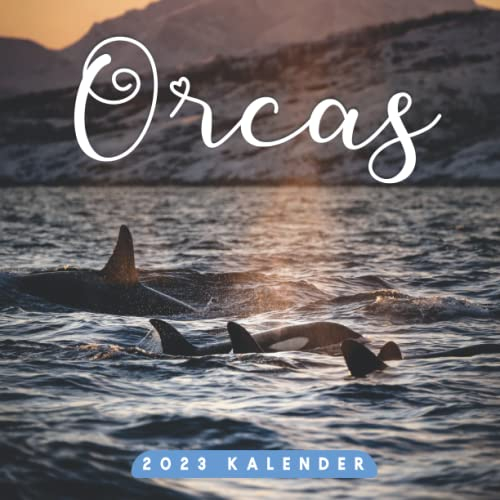 Orcas Kalender 2023: Behalten Sie den Überblick über wichtige Details, Notizen und Termine