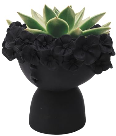 Natudeco Sukkulenten-Blumentopf, Sukkulenten-Pflanzgefäß Kunstharz Gesicht Ornament, Dekoration kleines Gesicht, Kopf Gesicht Vase Heimdekoration Sukkulenten Kaktus Indoor-Blumentopf für Wohnzimmer