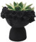 Natudeco Sukkulenten-Blumentopf, Sukkulenten-Pflanzgefäß Kunstharz Gesicht Ornament, Dekoration kleines Gesicht, Kopf Gesicht Vase Heimdekoration Sukkulenten Kaktus Indoor-Blumentopf für Wohnzimmer