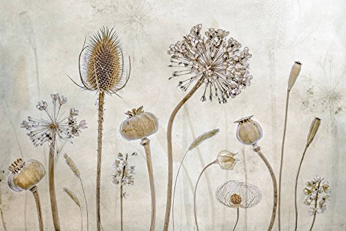 Kunstdruck/Poster: Mandy Disher Altwerden - hochwertiger Druck, Bild, Kunstposter, 60x40 cm