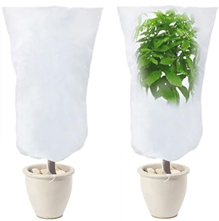 LINSOCLE 2 Pezzi Cappuccio Protezione Piante Inverno, Telo per Piante Inverno Antigelo, 120 x 80cm Sacco Antigelo per Piante, Protezione Piante dal Freddo per Agrumi Limone in Vaso