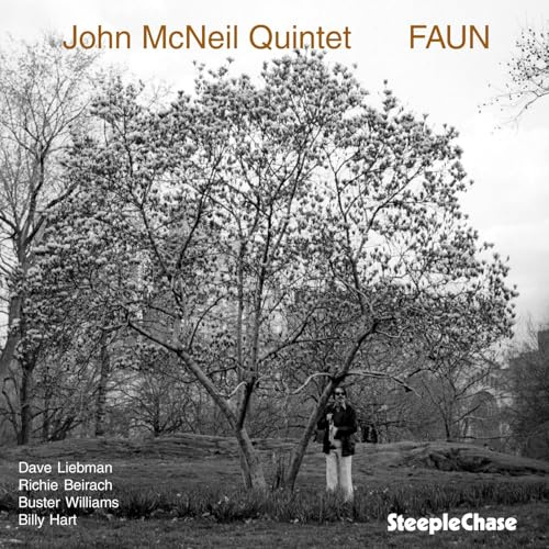 STEEPLECHASE