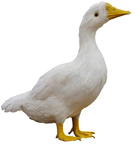 Baoblaze Netter Künstlicher Gefiederter Schwarzer, Graue Ente, Hof Garten Rasen Figuren Dekor, Gans