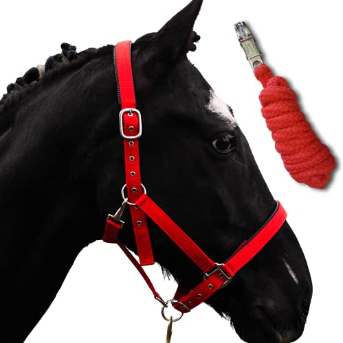 Halfter für Pferde mit Strick | Führstrick Pferd Halfter | Halfter Pony, Vollblut, Full, X-Full mit Strick (Rot, Cob (Vollblut))