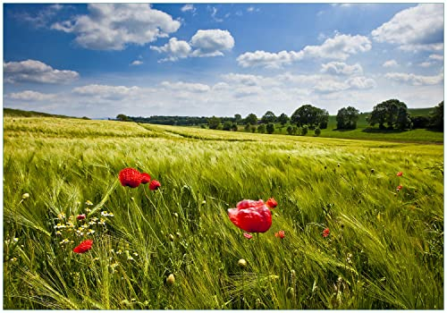 Wallario Vliestapete Fototapete Mohnblumenwiese auf grüner Wiese unter blauem Himmel - Wandtapete Größe: 300 x 210 cm