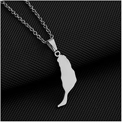 Schmuck Karte Halskette, Fuerteventura Glossy Map Styling Pendant Necklaces Women Girls Men Fashion Party Annivers Jewelry Geometric Pendant Couple Gifts,Silver Pendant,45Cm(17.7 Inches)