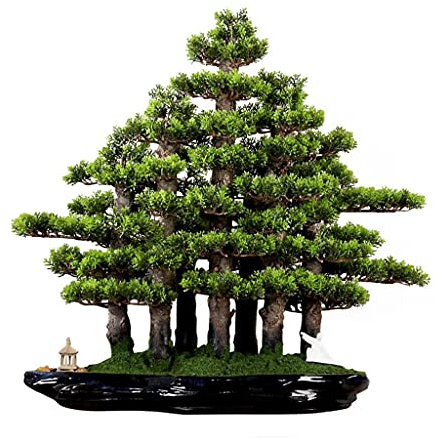Künstliche Topfpflanzen, künstlicher Baum, Bonsai, realistische Zypresse und Moos, Kleiner Pavillon und Keramik-Bösewicht, chinesischer Bonsai